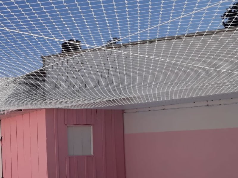 Telas de proteção para escolas em Ribeirão Preto