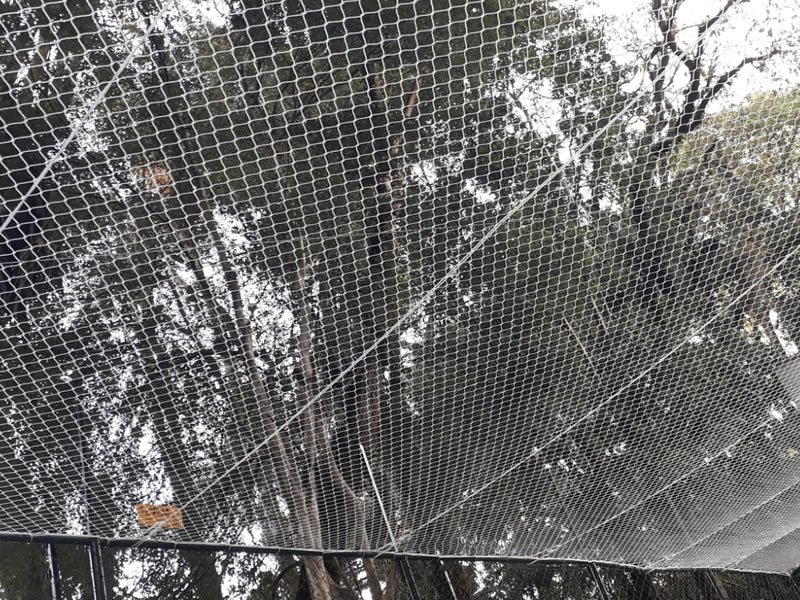 Telas de segurança para playgrounds em Ribeirão Preto