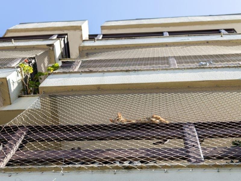 Instalação de rede de segurança em Parque das Figueiras, Ribeirão Preto