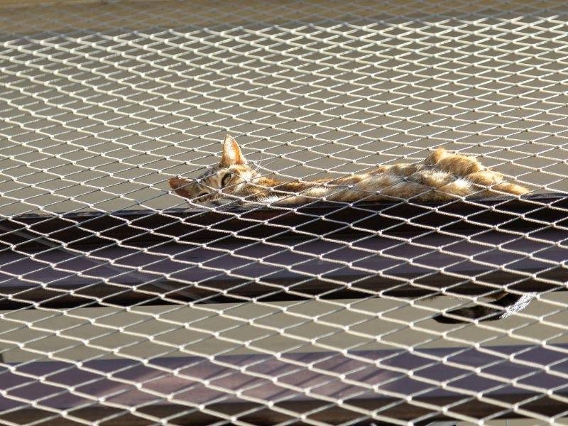 Instalação de rede de proteção em Jardim Botânico, Ribeirão Preto